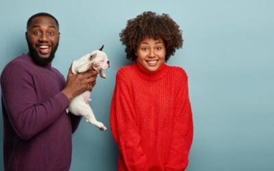 Bringing Home Your New Dog