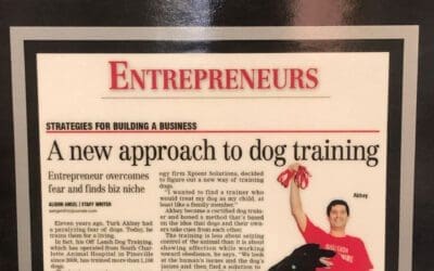 Cubicles Suck… Becoming a dog trainer is cool