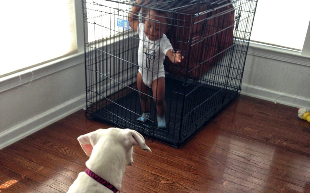 Children and Dogs