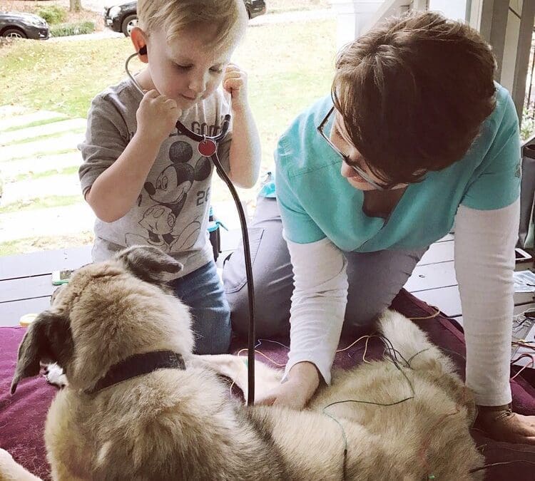 Acupuncture for dogs ??? Is it a real thing?