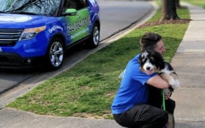 Emotional Service Dogs: A Lifeline for Mental and Emotional Well-being