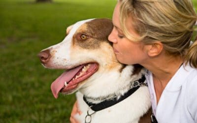 Being the owner your dog deserves