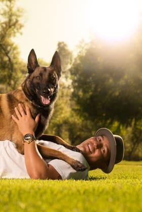 Walk your dog