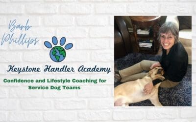 Service Dogs Demystified