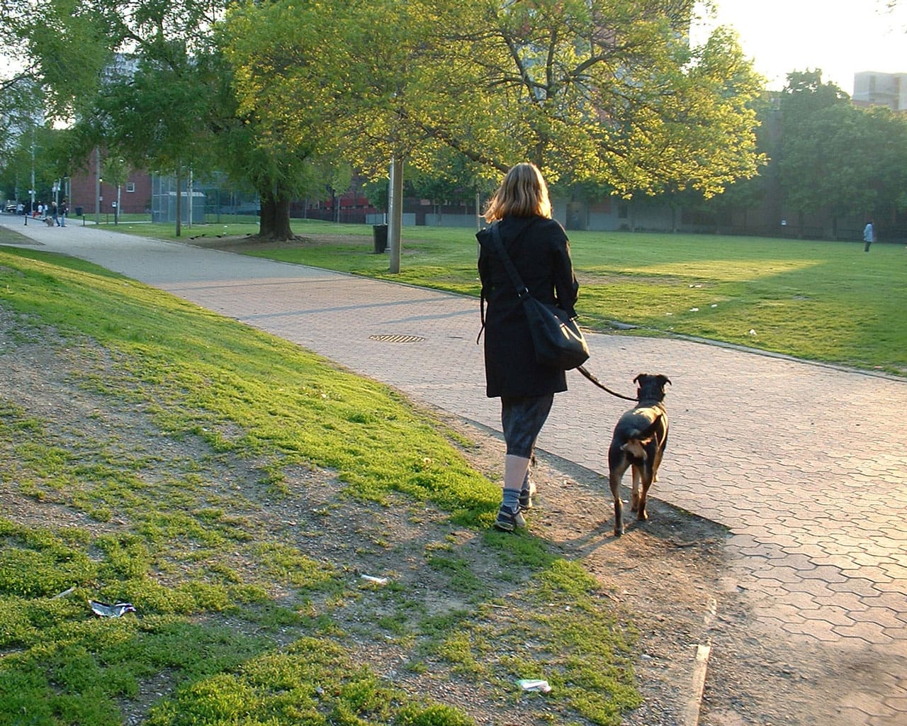Walk your dog