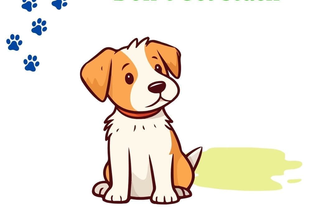 Potty Training 101: How to Housebreak Your Dog Quickly