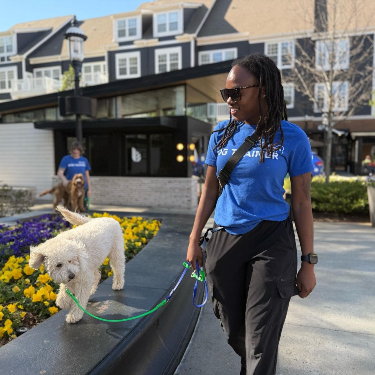 Charlotte dog trainer walking a dog