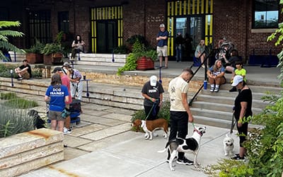 Preparing for Natural Disasters: Emergency Planning for Dog Owners