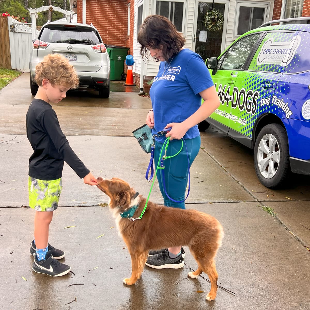 Inhomedogtraining