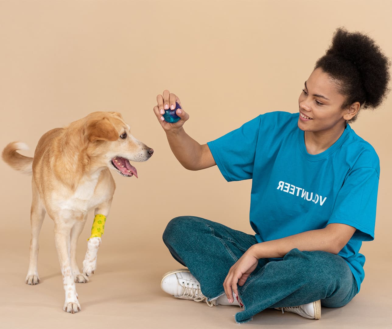 NC Pet Parents New NC Pet Parents New