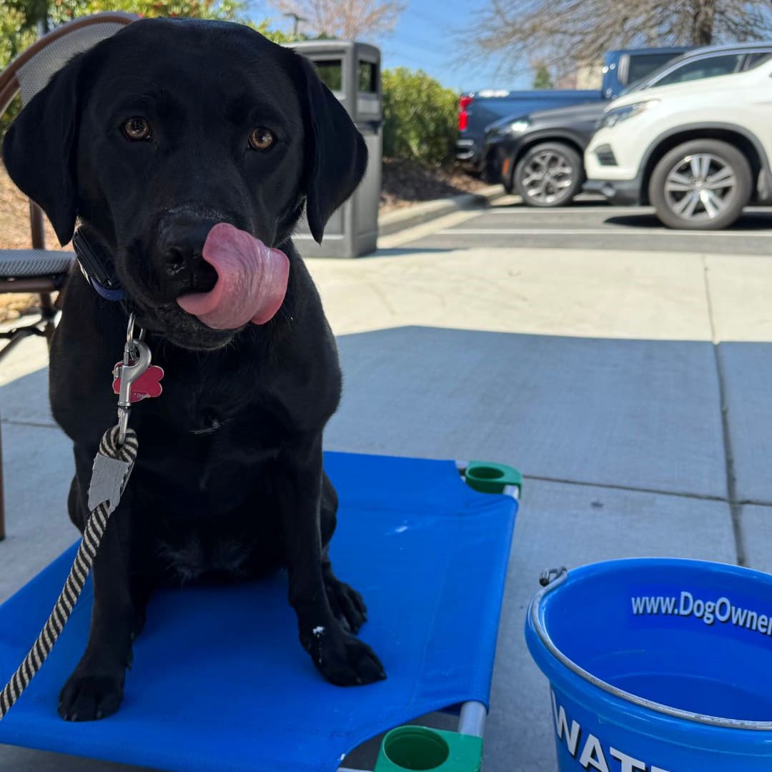 Post Banner Image Post Banner Image