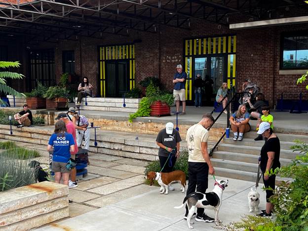 The Science of Puppy Socialization