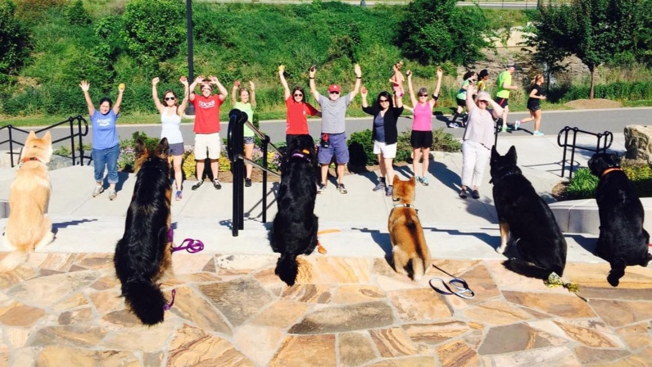 Group Dog Training in Charlotte, NC. Photo shows six obedient dogs sitting off leash and their smiling owners with arms raised in celebration from a distance