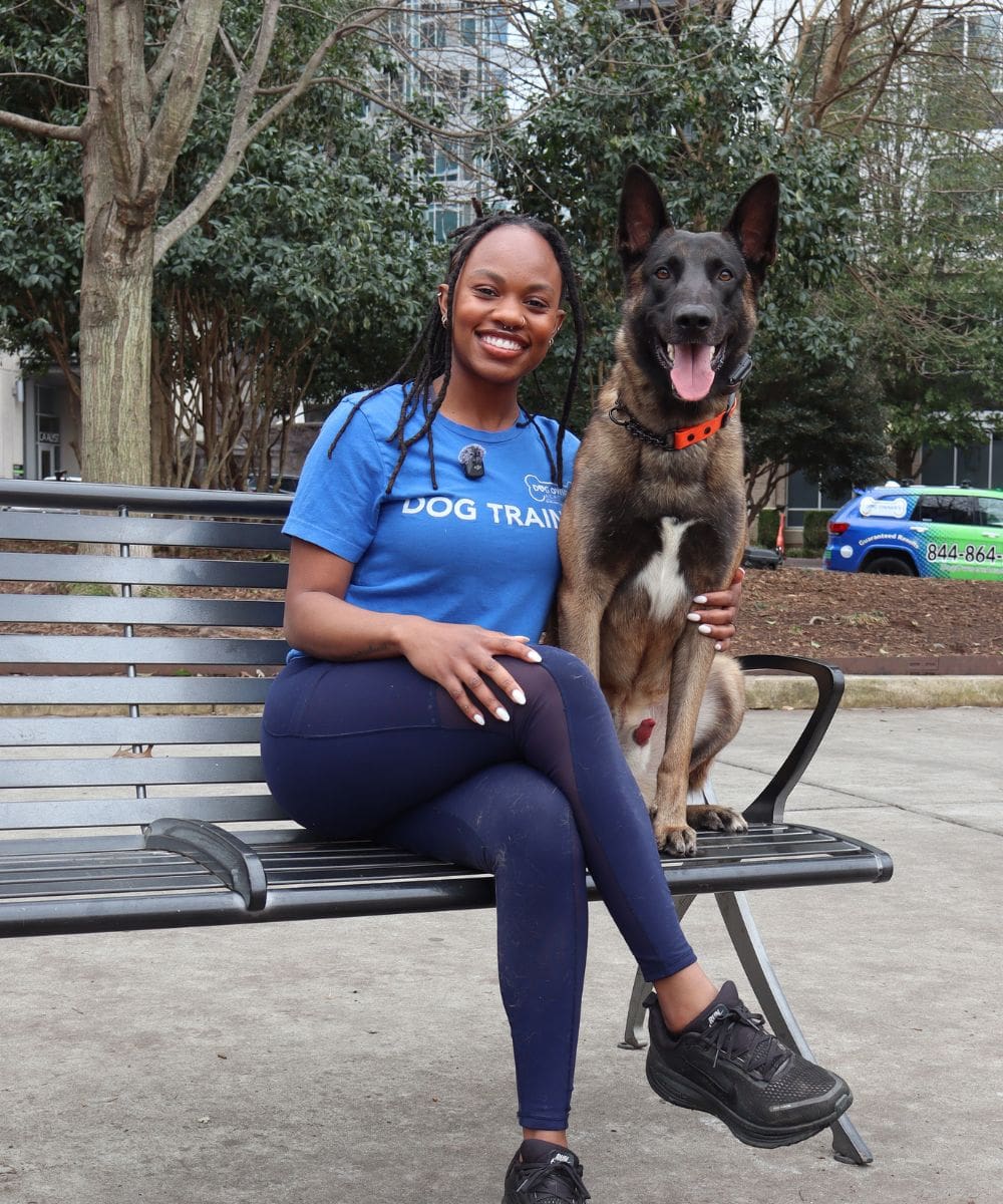 Dog trainer in downtown Charlotte posing with a well-behaved Belgian Malinois on a bench during dog training